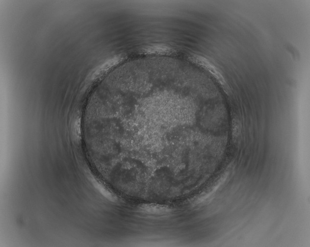 X0000113620633200909181440