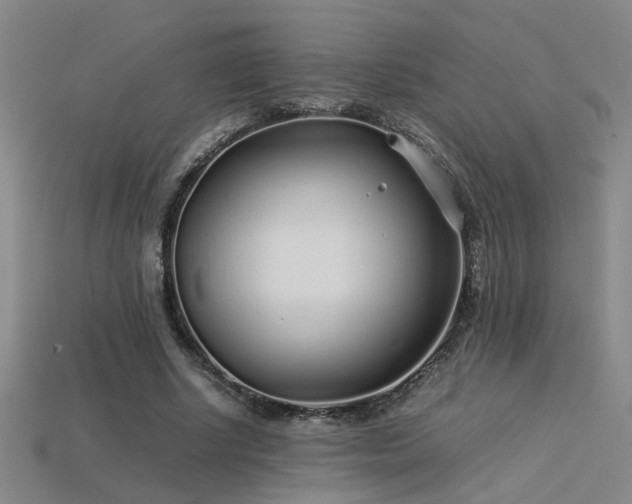 X0000113620634200909181440