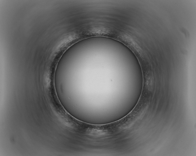 X0000113620635200909181440