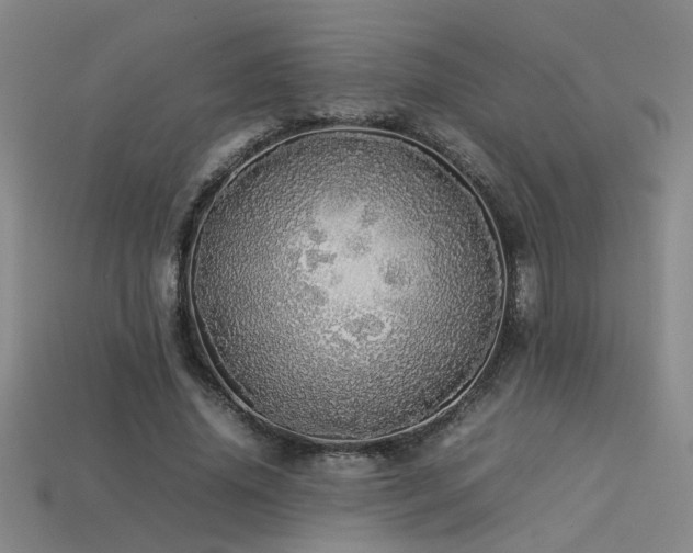 X0000113620636200909181440