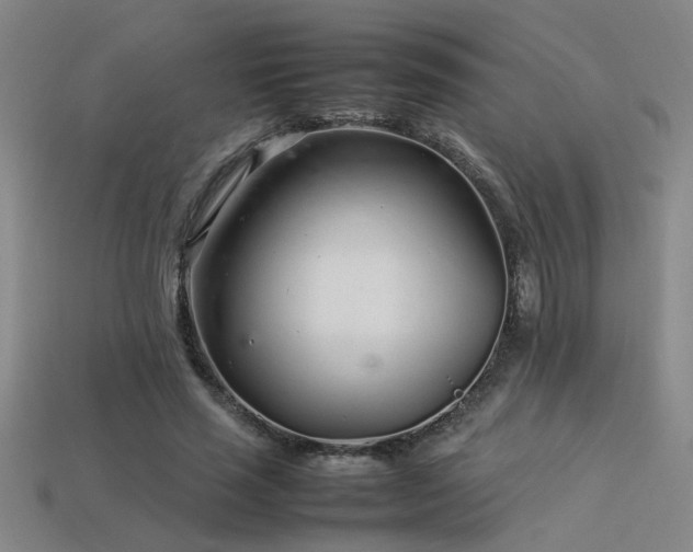 X0000113620637200909181440