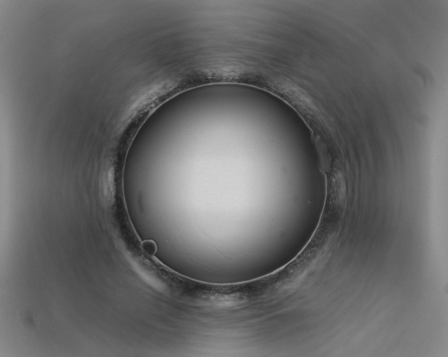 X0000113620638200909181440