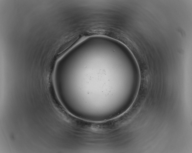 X0000113620641200909181440