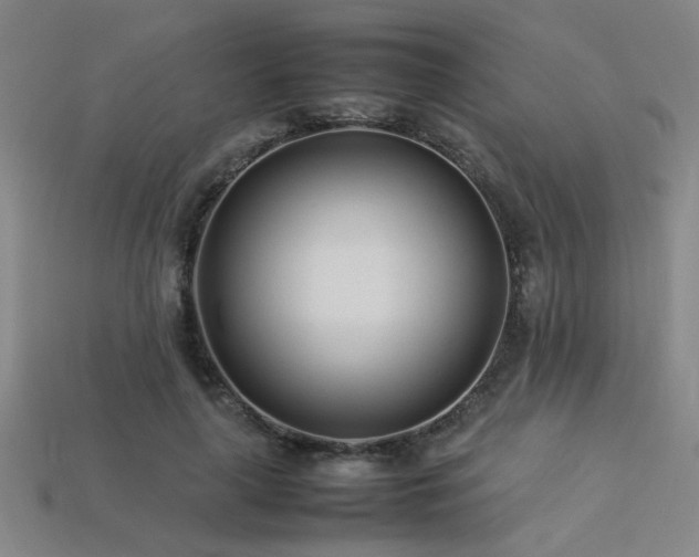 X0000113620643200909181440