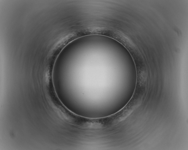 X0000113620644200909181440