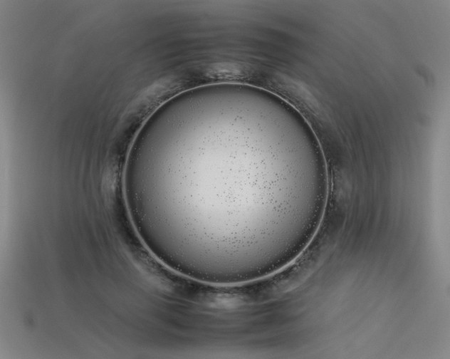 X0000113620645200909181440