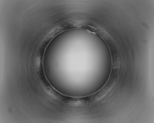 X0000113620646200909181440