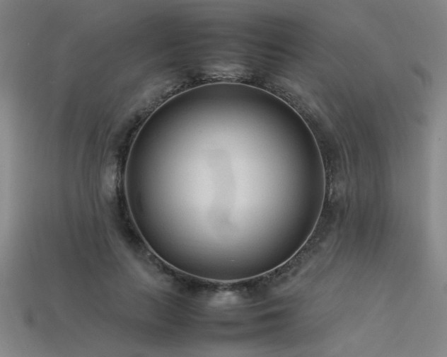 X0000113620647200909181440