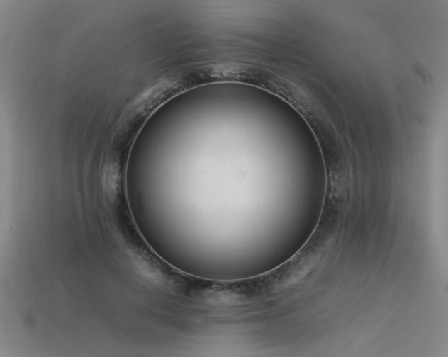 X0000113620648200909181440