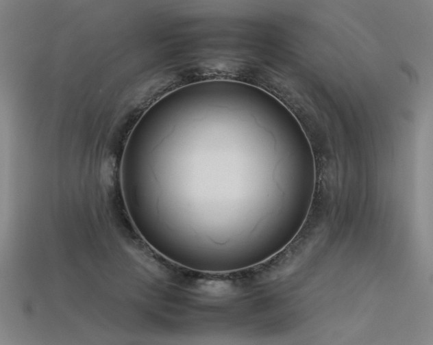 X0000113620649200909181440