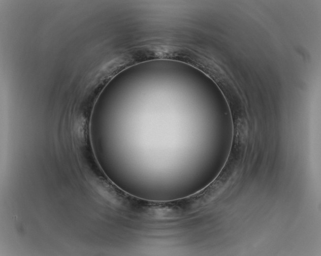 X0000113620650200909181440