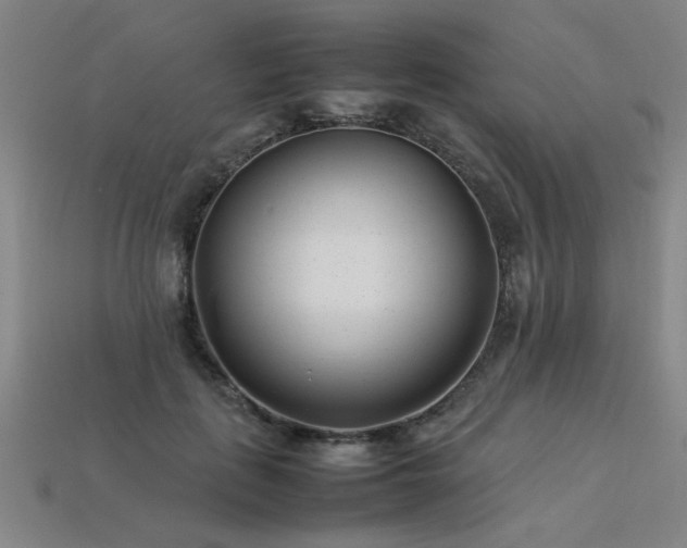 X0000113620651200909181440