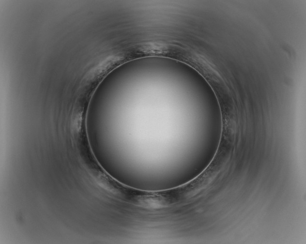 X0000113620652200909181440