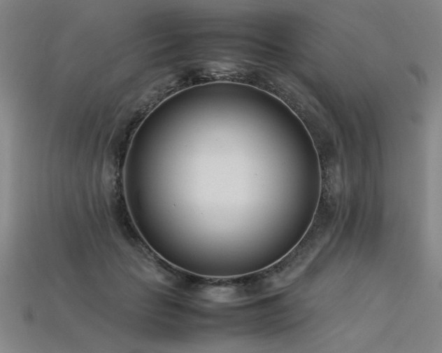 X0000113620653200909181441