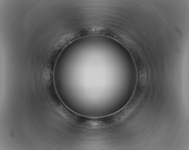 X0000113620654200909181441