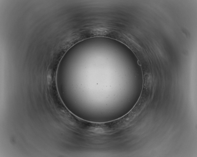 X0000113620655200909181441