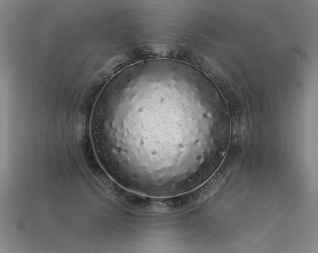 X0000113620656200909181441