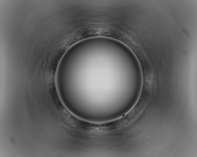 X0000113620657200909181441