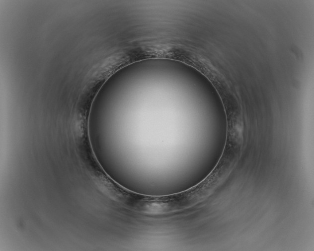 X0000113620658200909181441