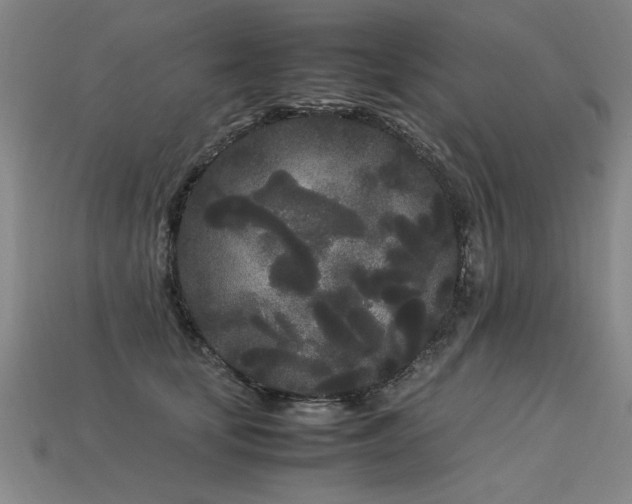 X0000113620659200909181441