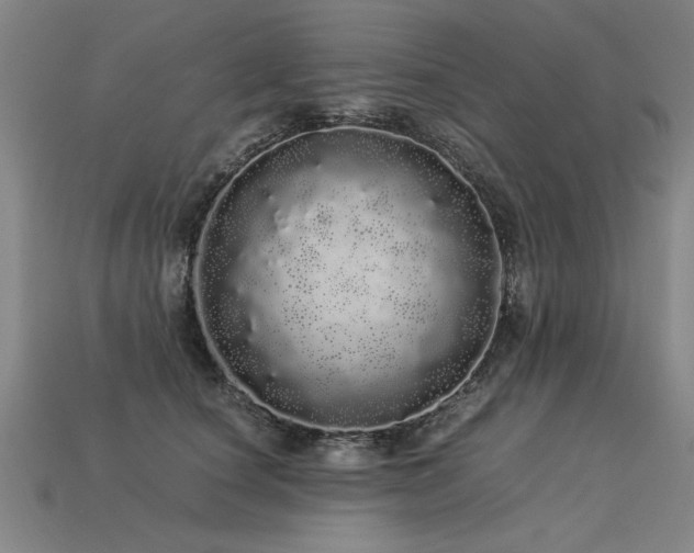 X0000113620660200909181441