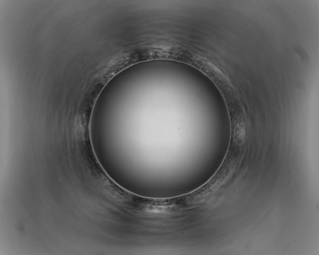 X0000113620661200909181441