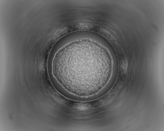 X0000113620663200909181441