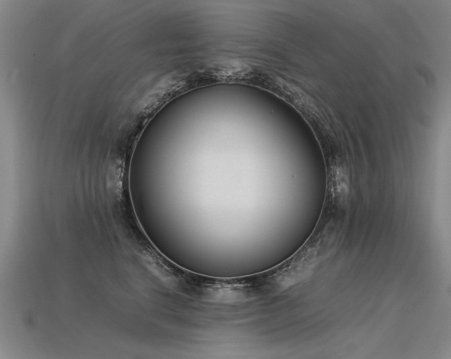 X0000113620664200909181441