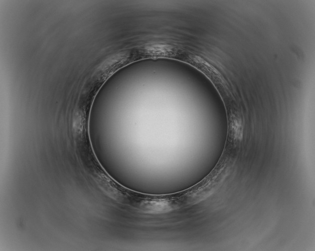 X0000113620665200909181441