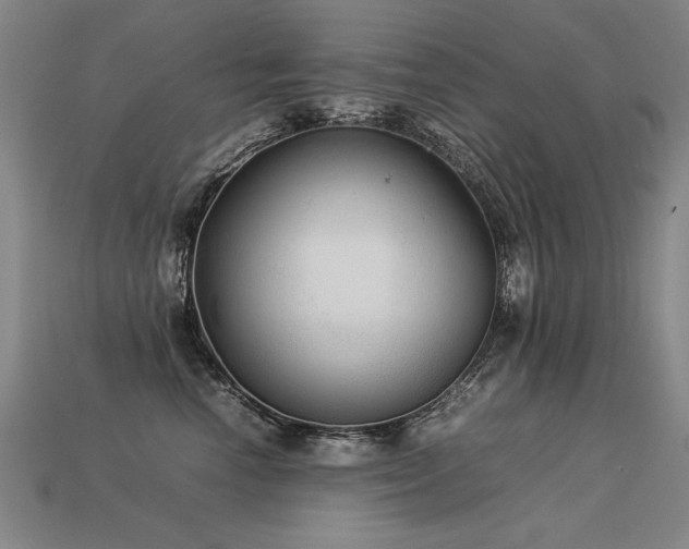 X0000113620666200909181441