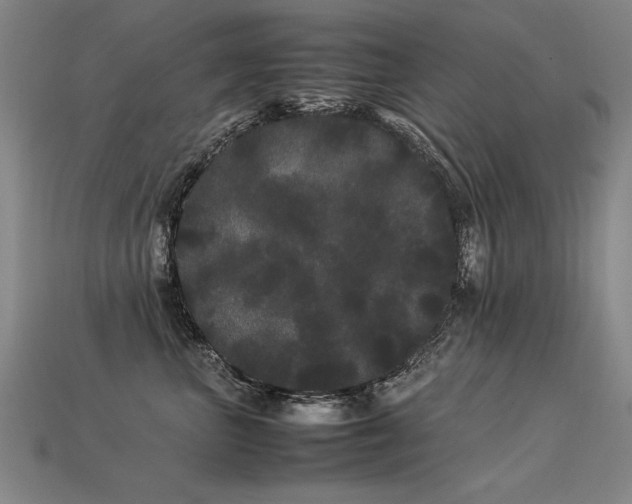 X0000113620667200909181441