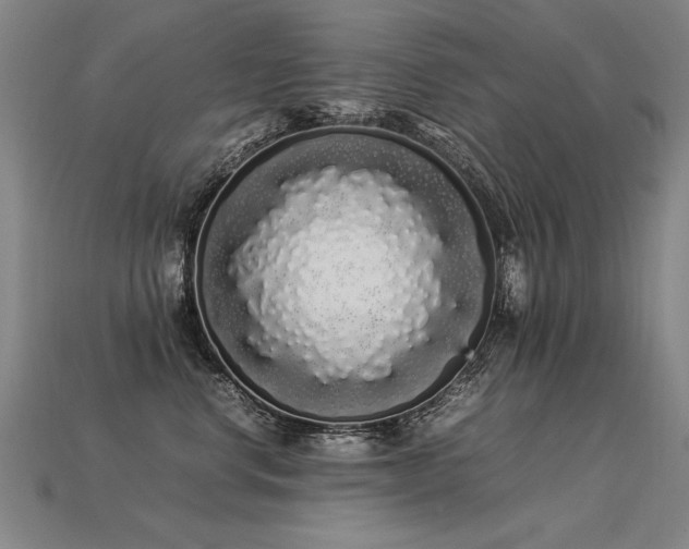 X0000113620668200909181441