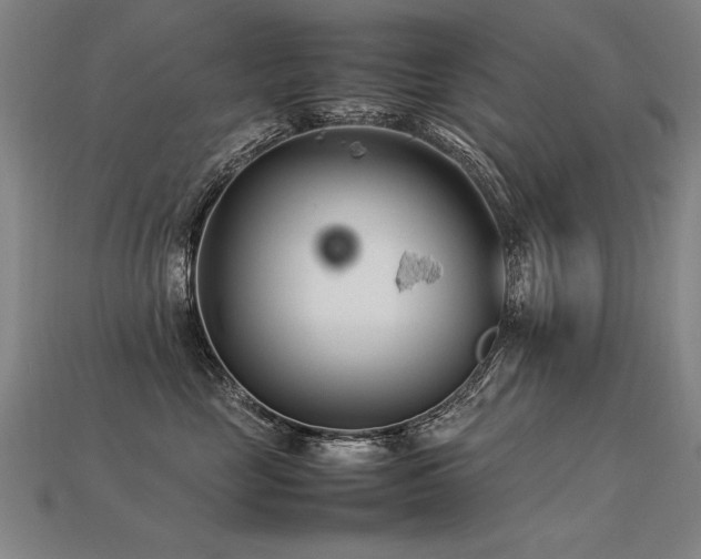 X0000113620669200909181441