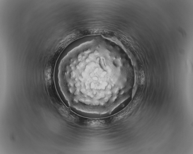 X0000113620670200909181441