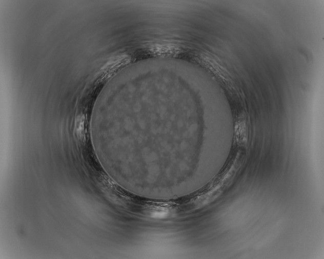 X0000113620671200909181441