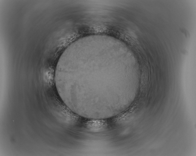 X0000113620672200909181441