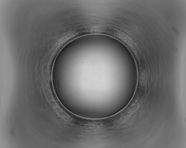 X0000113620673200909181440