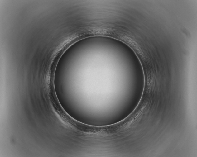 X0000113620674200909181440