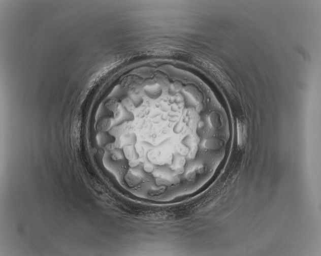 X0000113620675200909181440