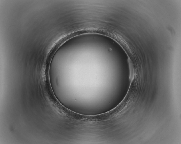 X0000113620676200909181440