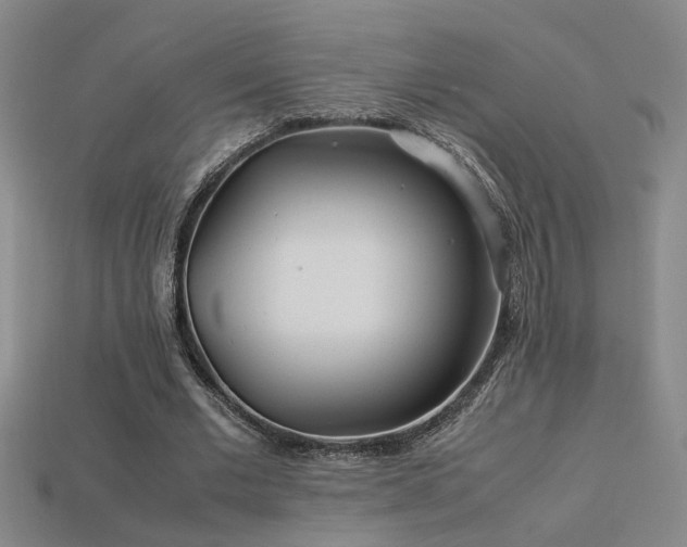 X0000113620677200909181440