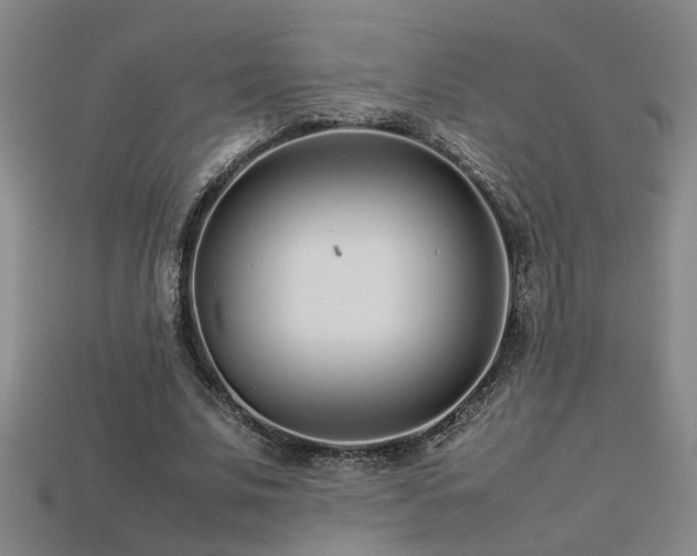 X0000113620679200909181440