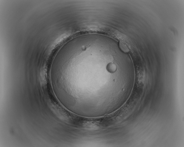 X0000113620680200909181440