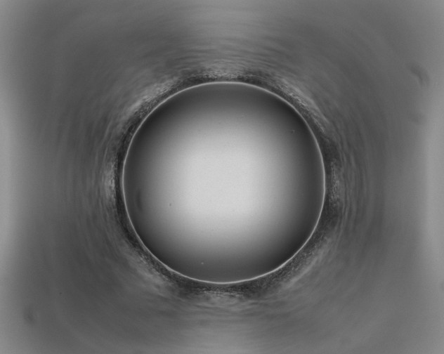 X0000113620681200909181440