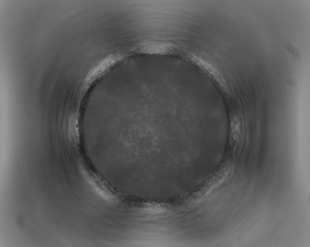 X0000113620682200909181440