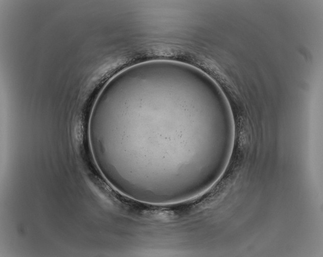 X0000113620683200909181440