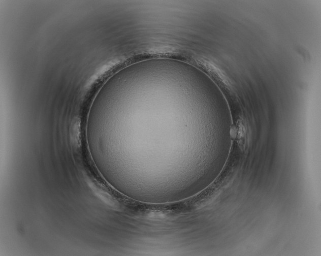 X0000113620684200909181440