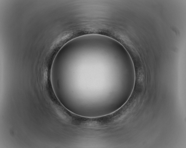 X0000113620685200909181440