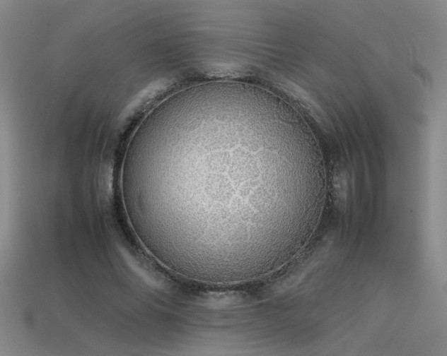 X0000113620686200909181440