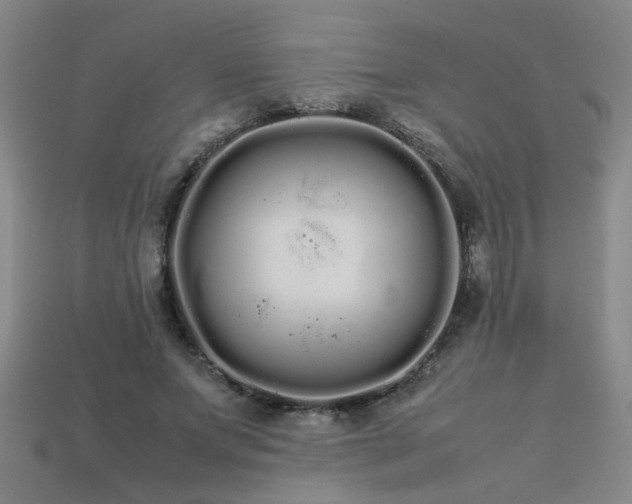 X0000113620687200909181440